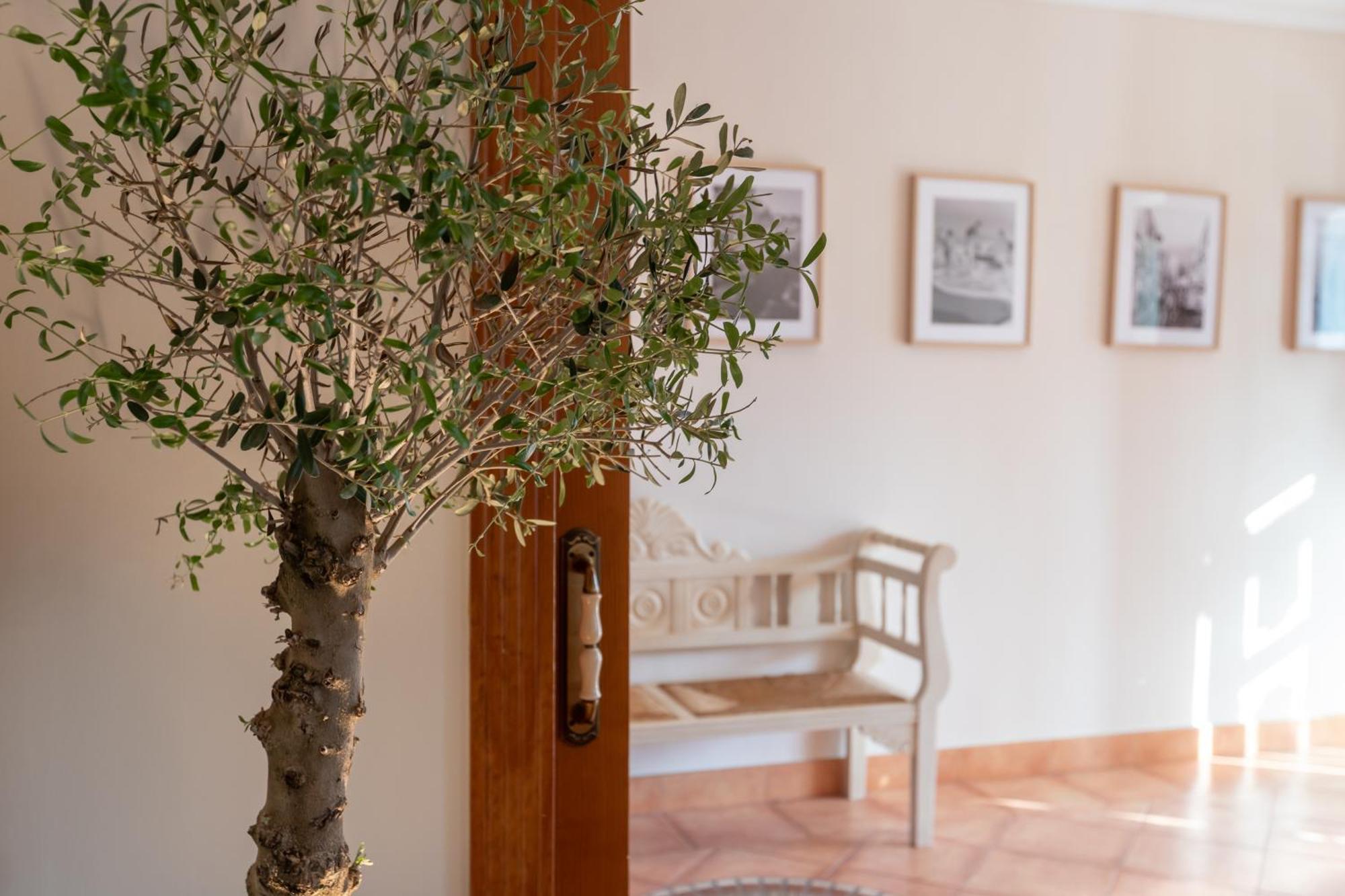 La Casita Del Mar Βίλα Τορρεμολίνος Εξωτερικό φωτογραφία